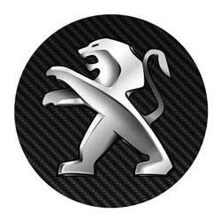 Peugeot imitation carbone