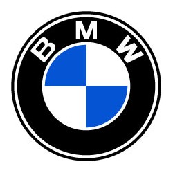 BMW logo original